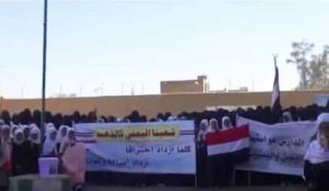 14825673_381224155542728_81833405_n