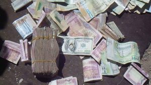 14556056_370253366639807_1331400785_n