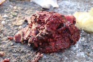 14580400_1021823257916729_1428278513_n