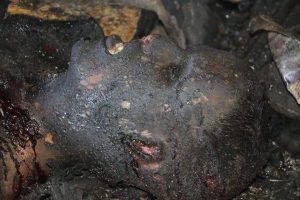 14610807_1021823284583393_923036099_n