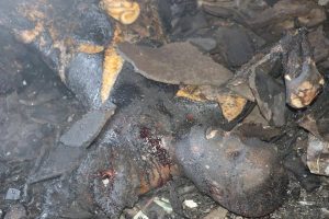 14620075_1021823297916725_1402724712_n