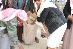 14797449_378566859141791_94871990_n