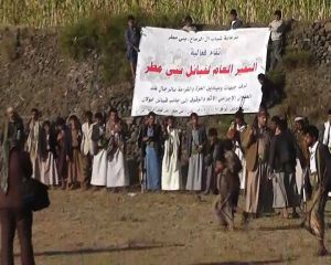 14805399_382536775411466_89753371_n